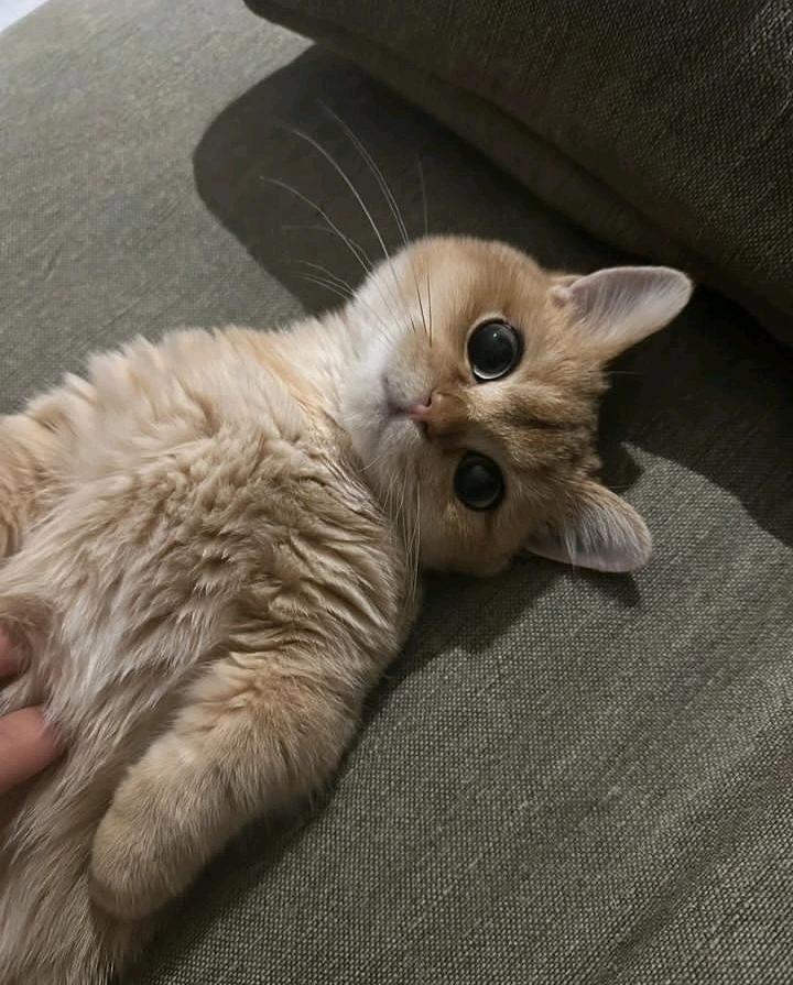 صورة رفعها Nour