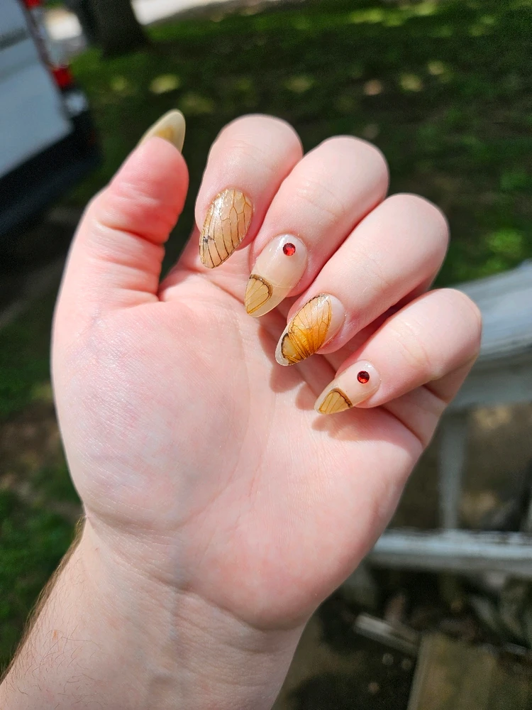 由Leo上传的图片