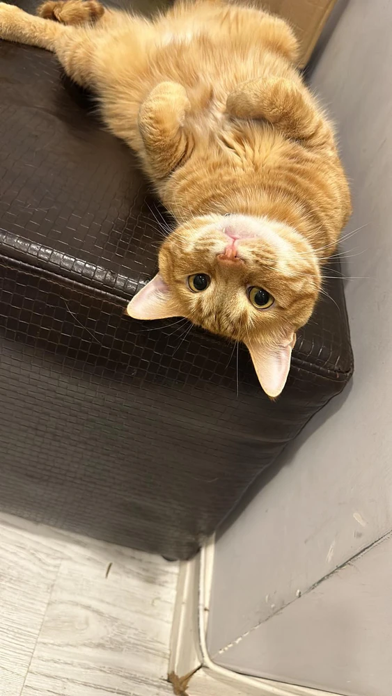 Kerem tarafından yüklenen görsel