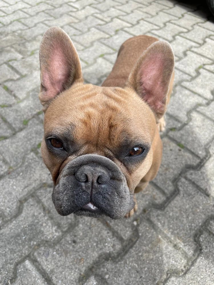 Bild hochgeladen von Alex