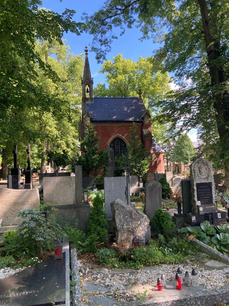 Obrázek nahrál Adriena