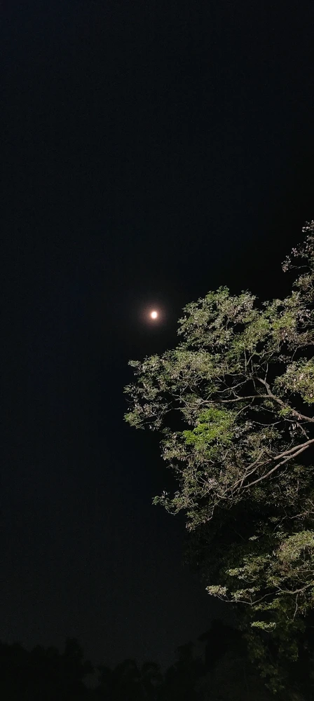 Image uploaded by VIKRANT SINGH