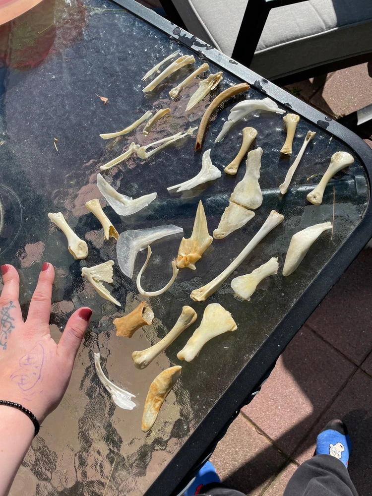 Image uploaded by Renee