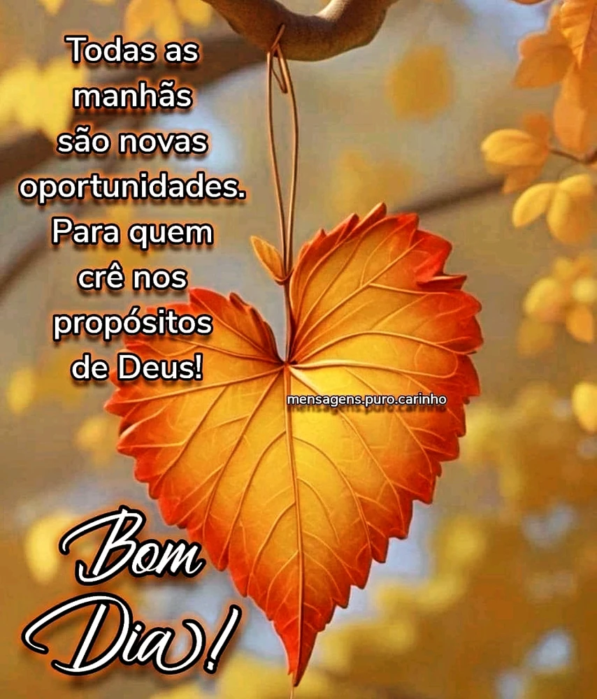 Imagem enviada por Mari