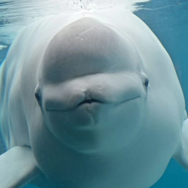 Immagine caricata da Luca