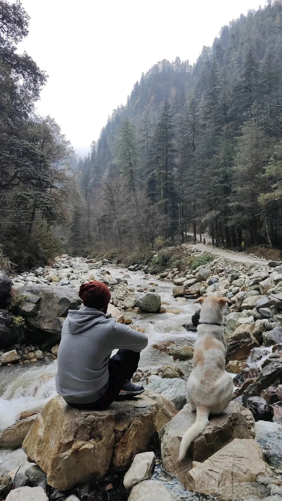 Image uploaded by Vivek Soni