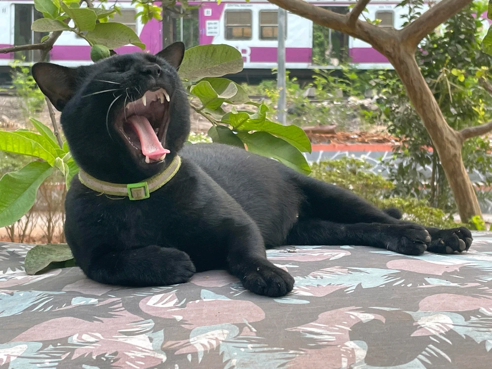 Image uploaded by Advait