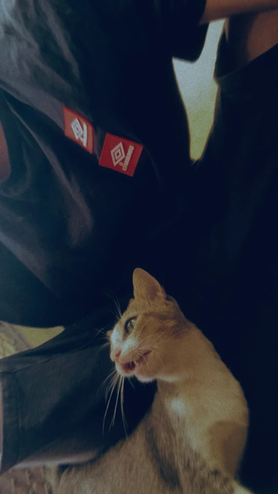 bibin അപ്‌ലോഡ് ചെയ്ത ചിത്രം