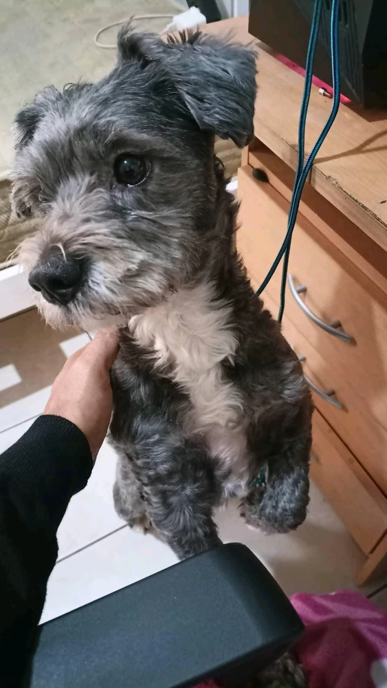 Εικόνα από THRASOS