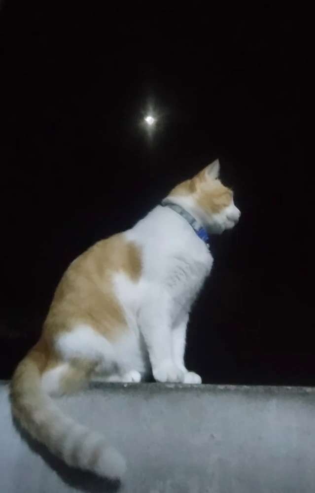 Image uploaded by EminyFox