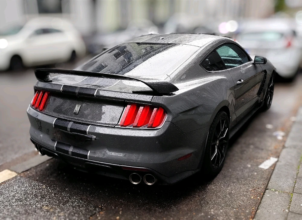 Image uploaded by Helly