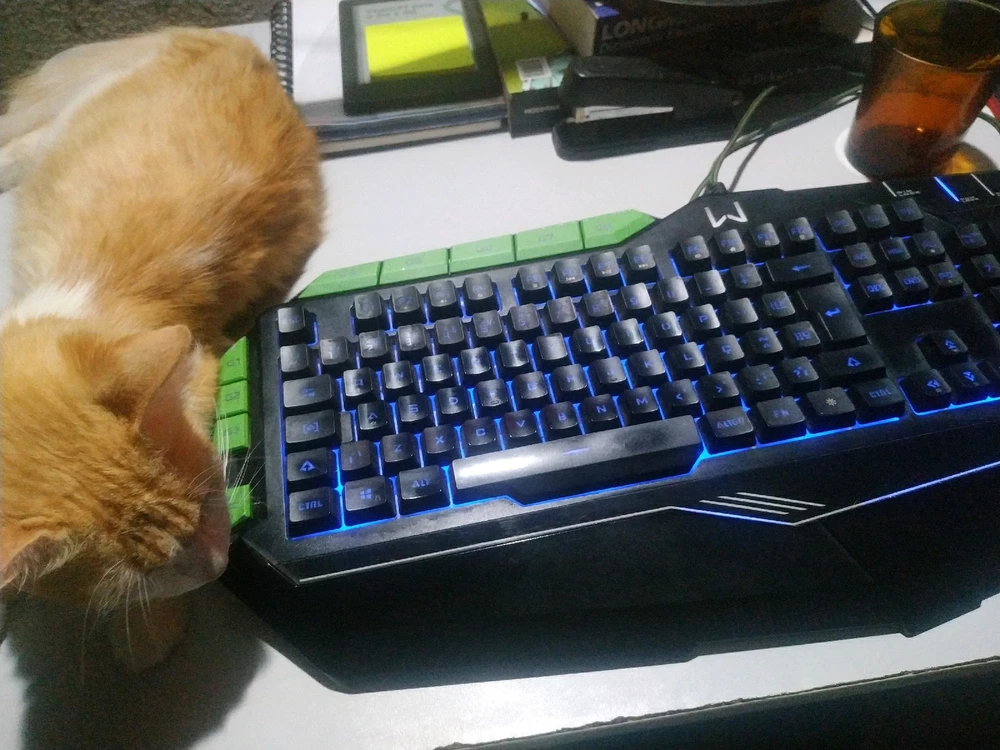 Imagem enviada por Ícaro