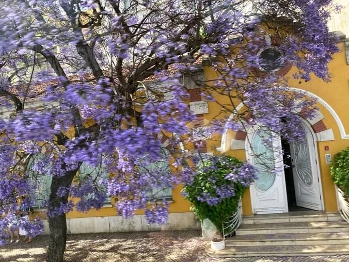 Gambar diunggah oleh Lovely Purple