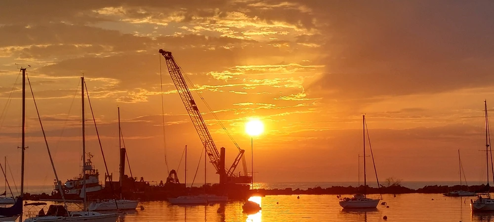 Image uploaded by Daniel