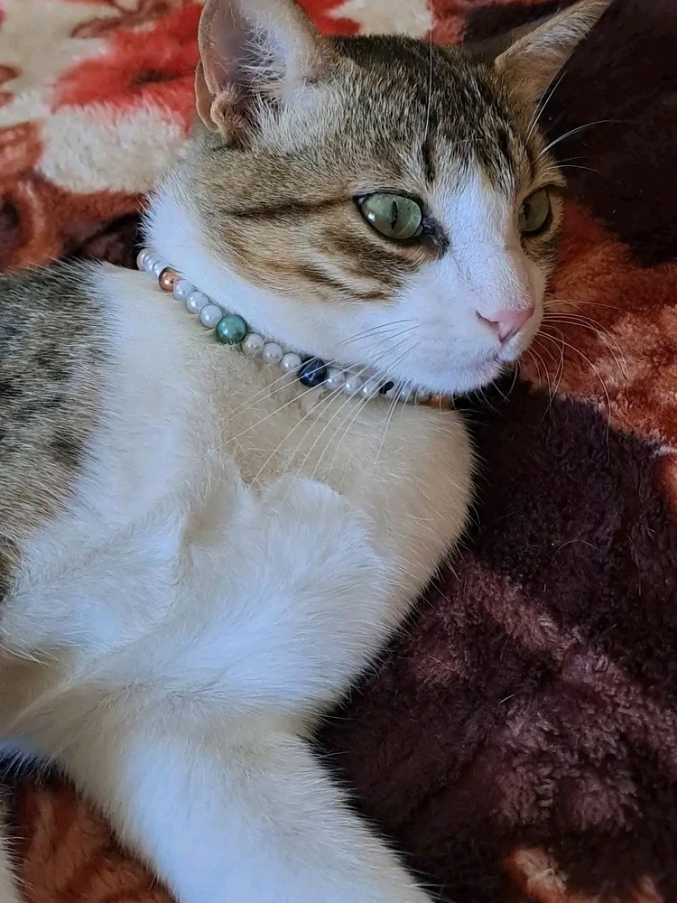 صورة رفعها Sabreen