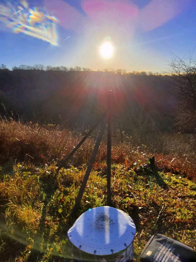 Sun over forrest