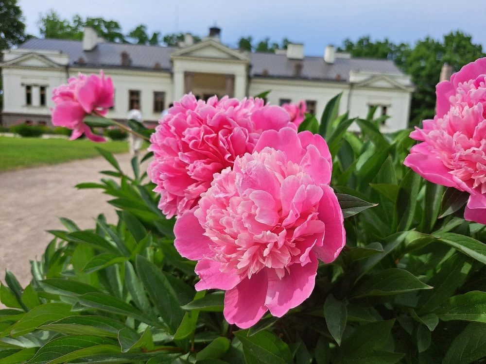 Nuotrauką įkėlė Kristina