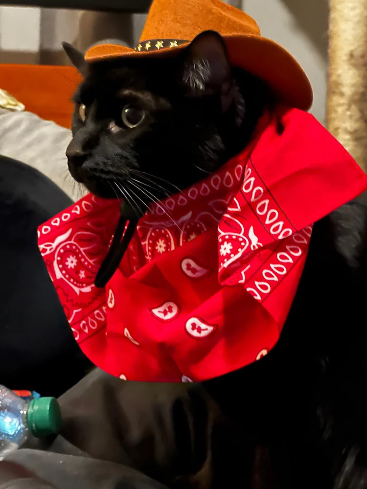 Image uploaded by Brandon