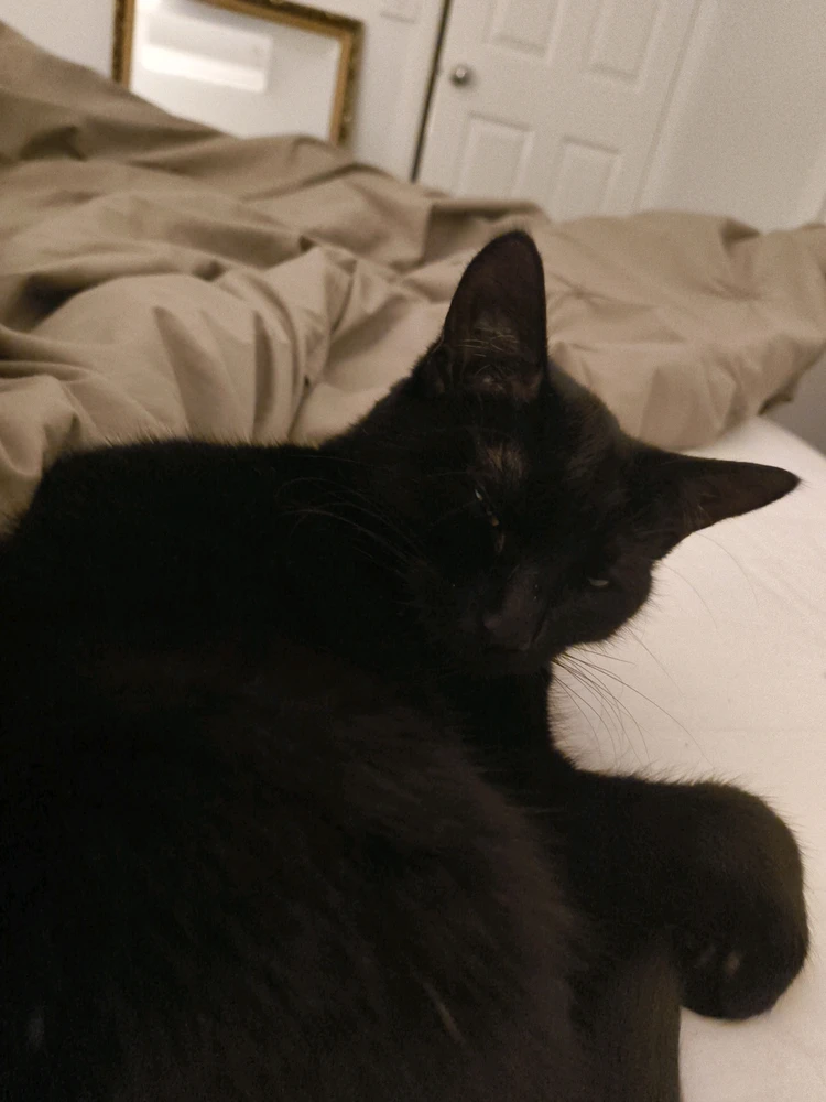 Image uploaded by Will