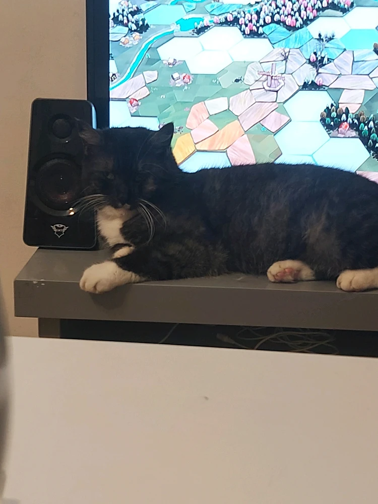 Zdjęcie dodane przez Zofia Bo-tak!