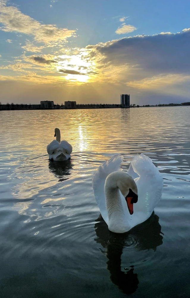 Зображення завантажив Ksenia