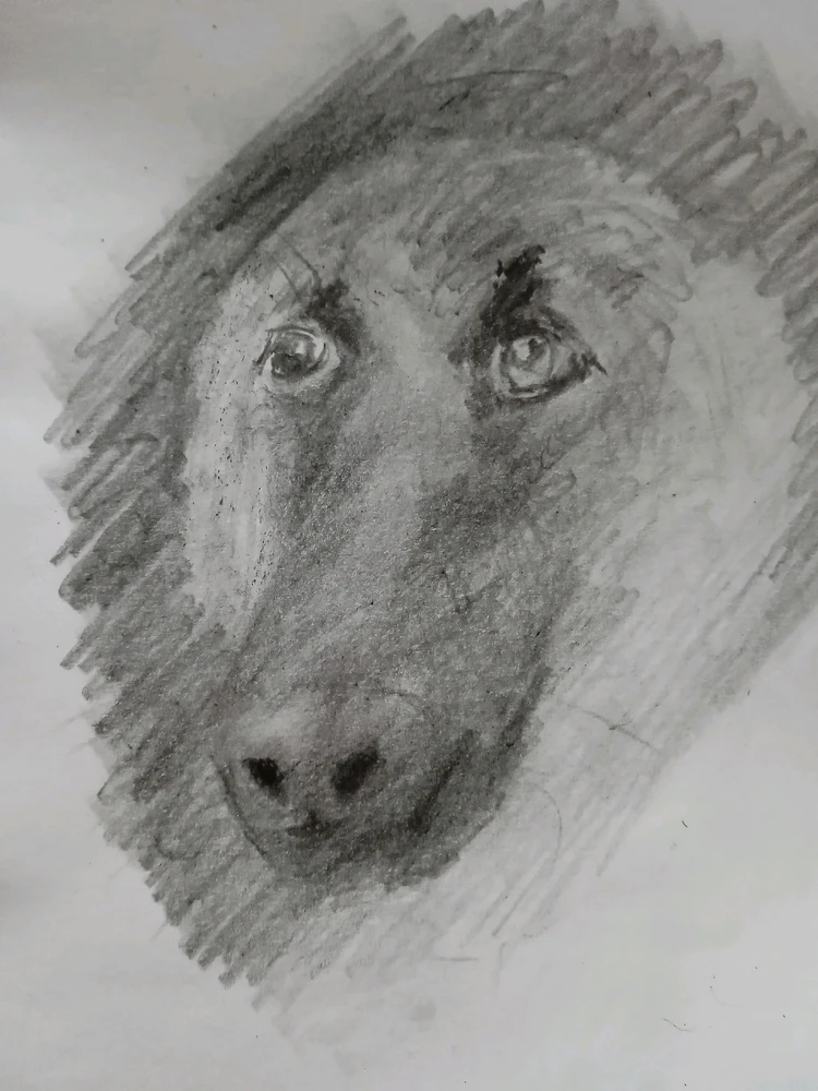 Imagen subida por Leonardo