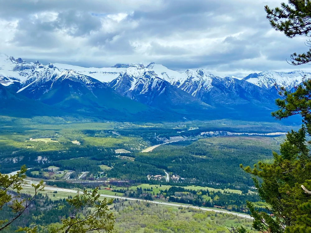 Image uploaded by Calvin