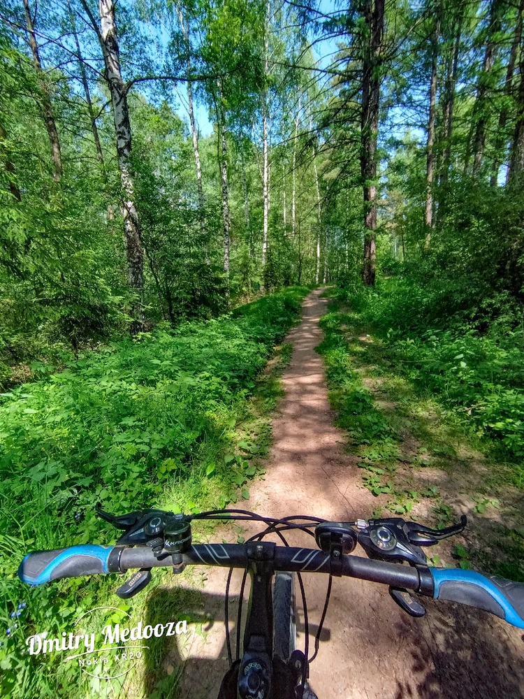 Фото загрузил 🌠 Dmitry 🌌