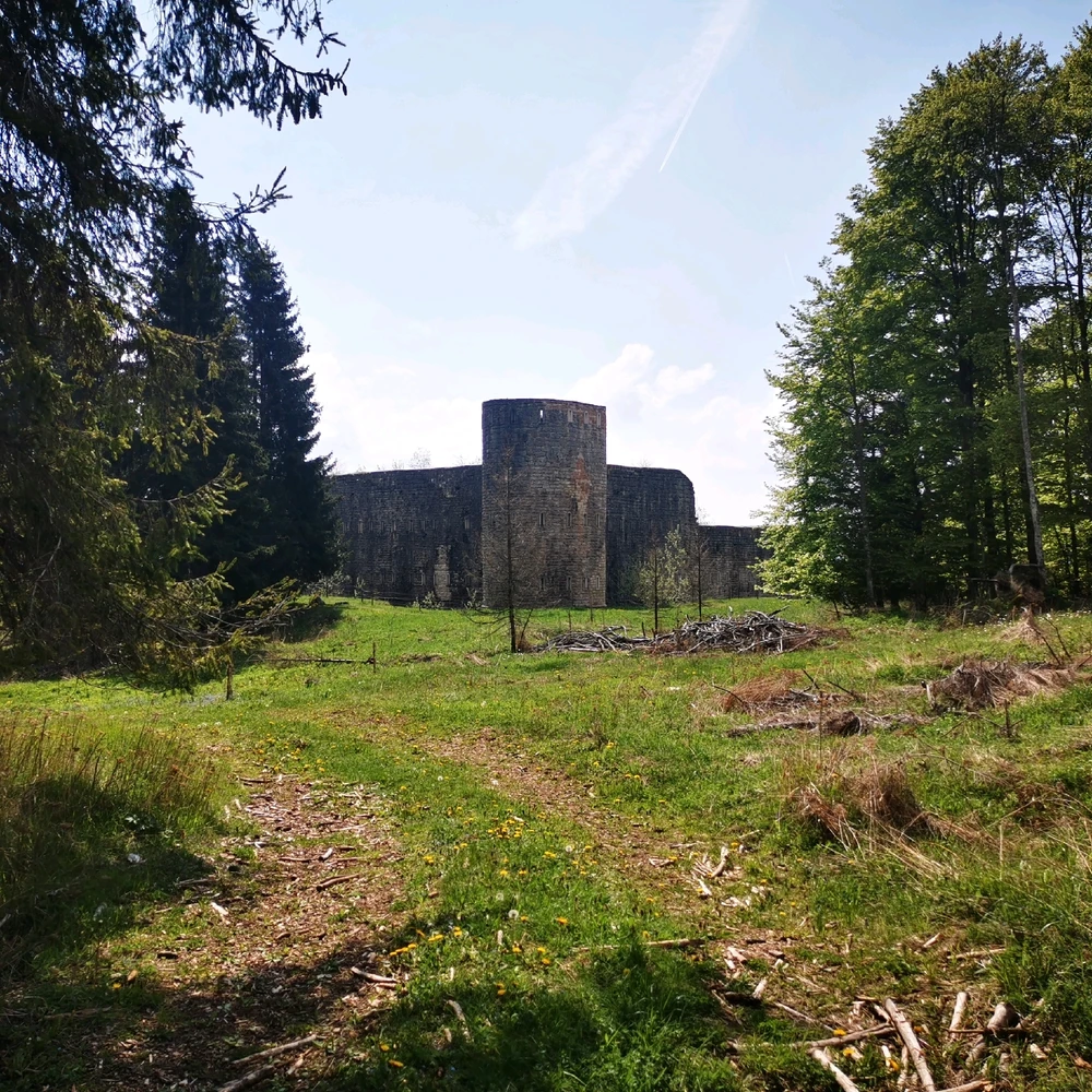 Immagine caricata da Elisa