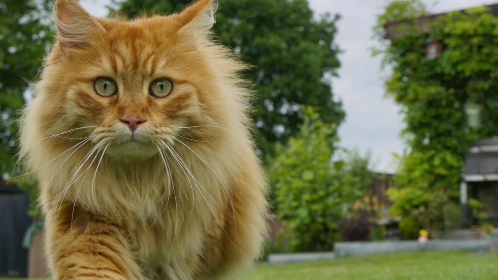 Bild hochgeladen von Max