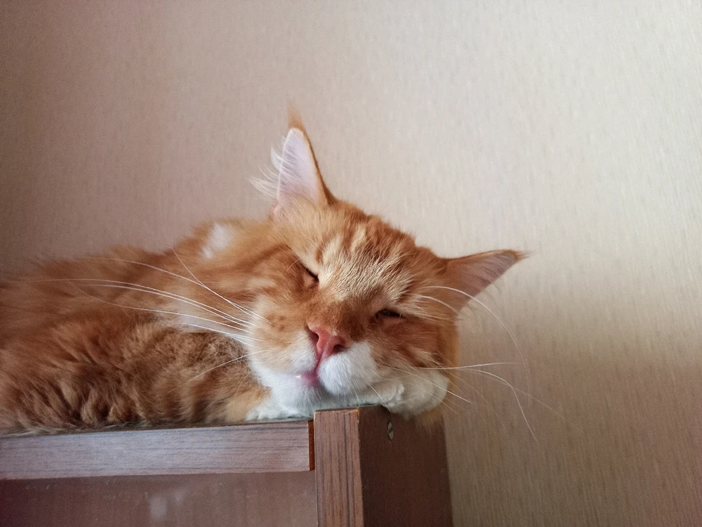 Image uploaded by Игорь