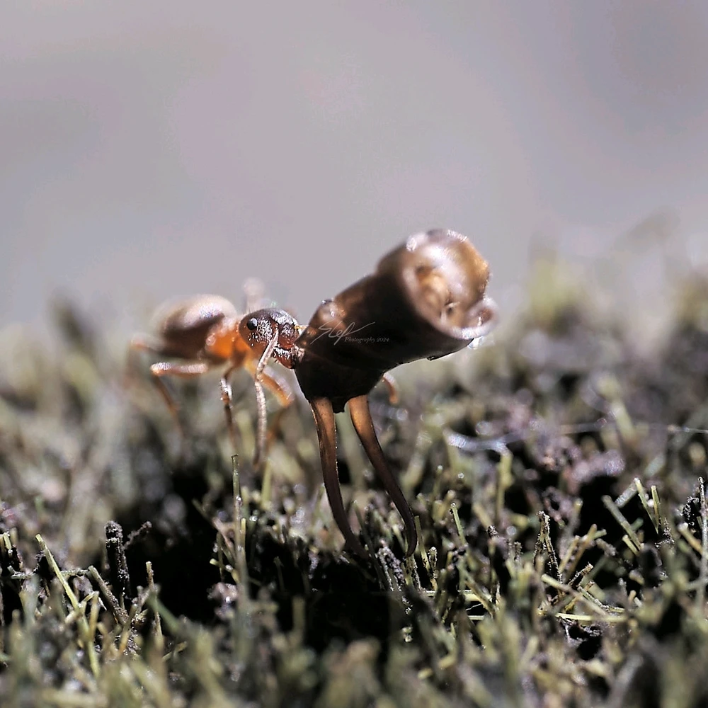 Immagine caricata da Stefano