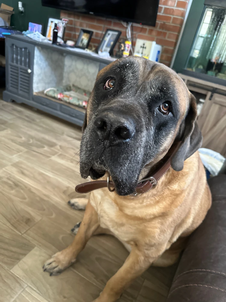 Image uploaded by Adam