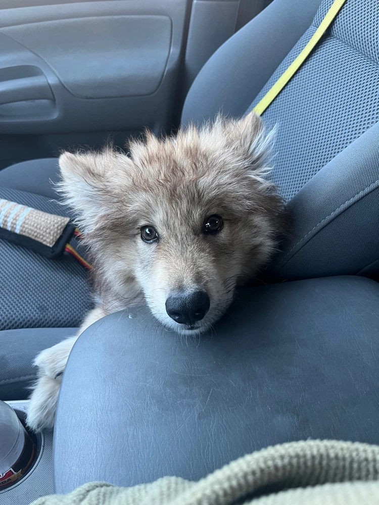 Image uploaded by Calvin