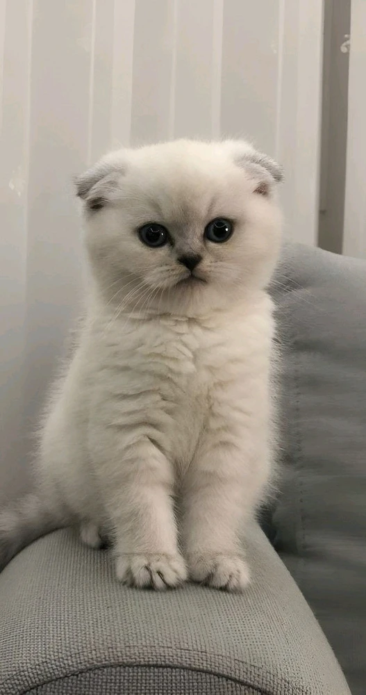 Image uploaded by Positive