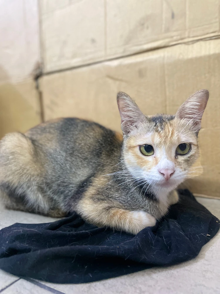 Image uploaded by Jacqueline