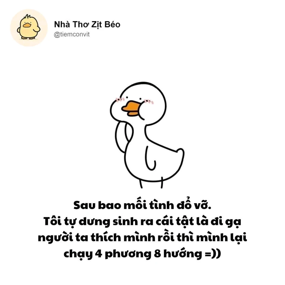 Ảnh do Mila tải lên