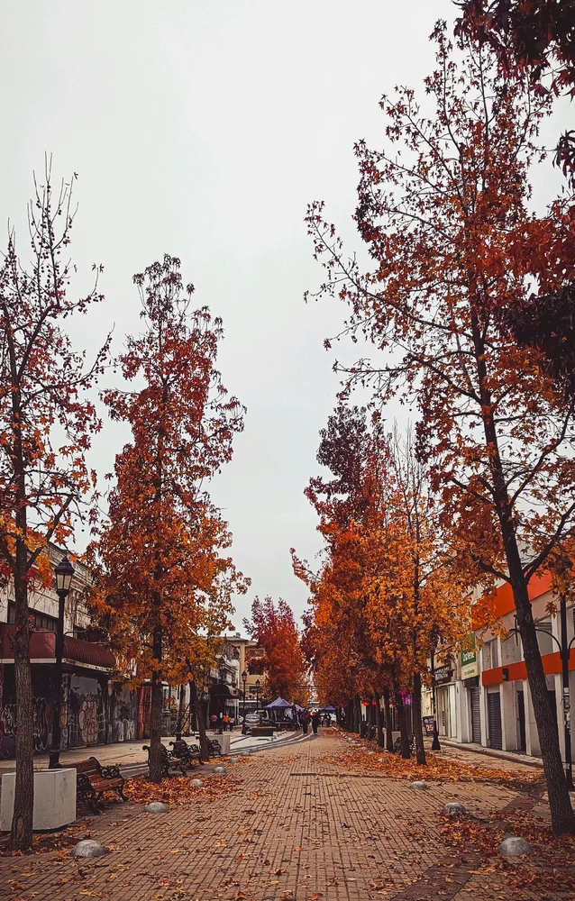 Image uploaded by Francisco