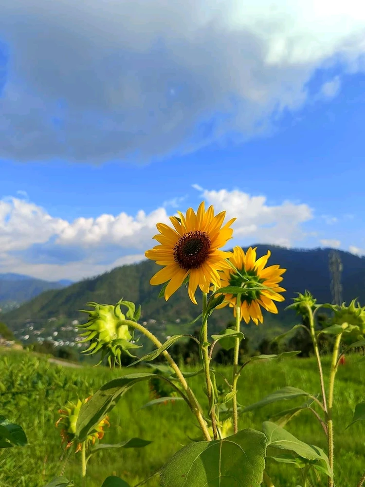 Travel photography