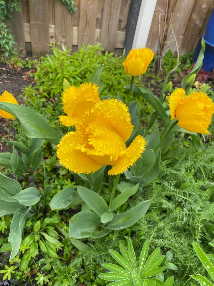 Зображення завантажив Ksenia