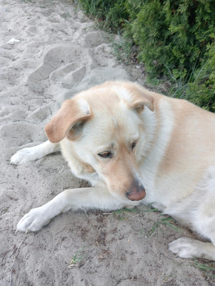 Zdjęcie dodane przez Gosia, Gośka, Małgorzata 😁