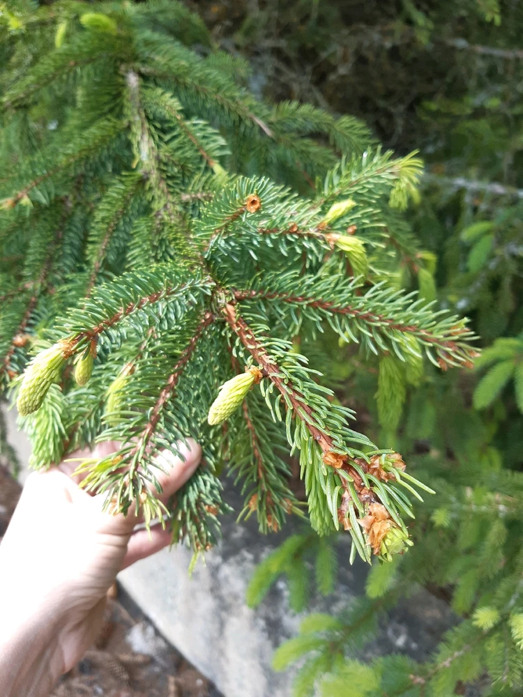 Fotku nahral/-a Lucille