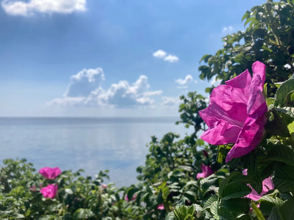 Image uploaded by Anna