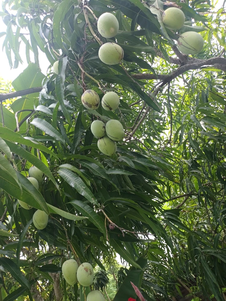 由Exi上传的图片
