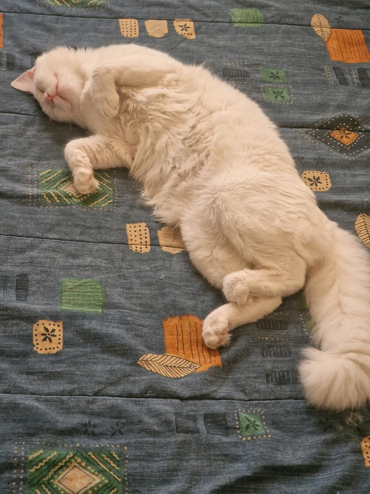 Imagem enviada por Luis