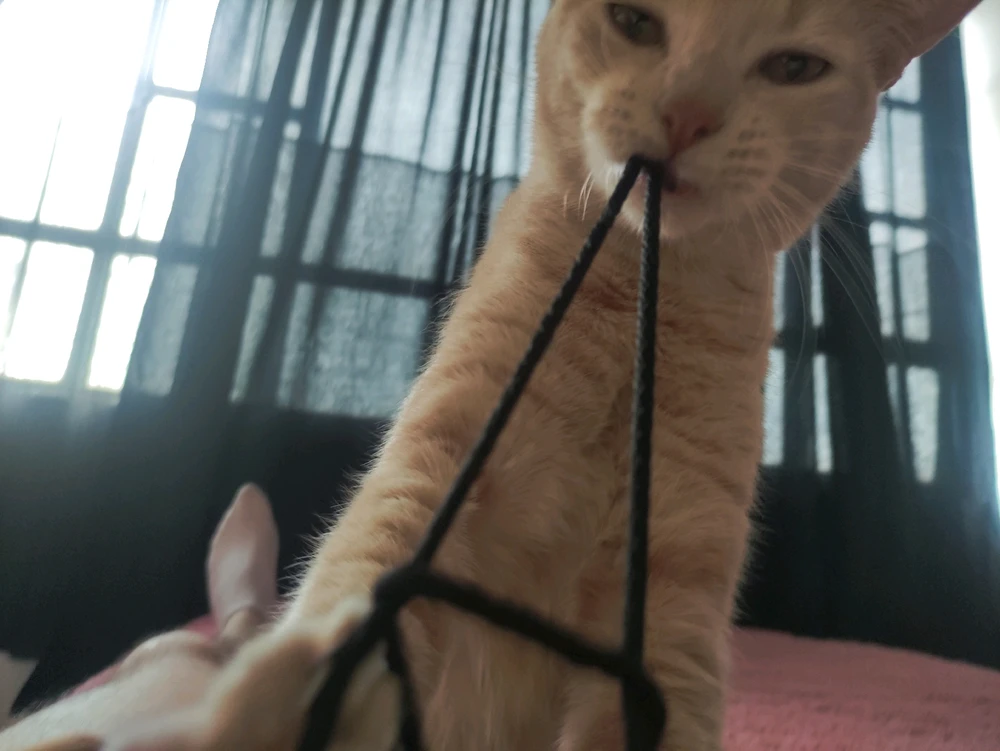 Image uploaded by Omi