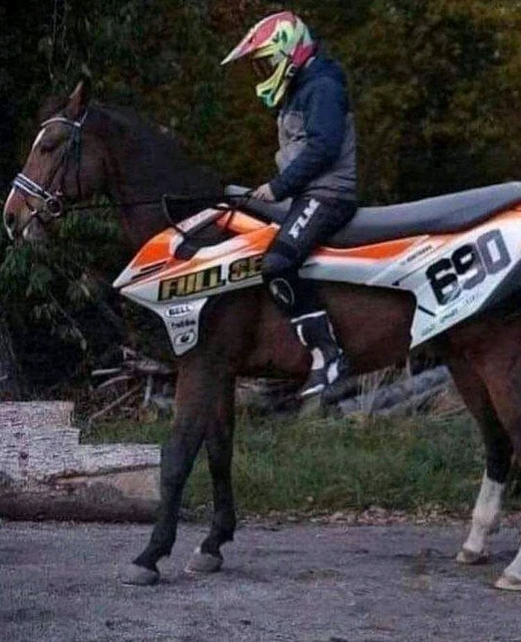 Imagen subida por Duany Antonio