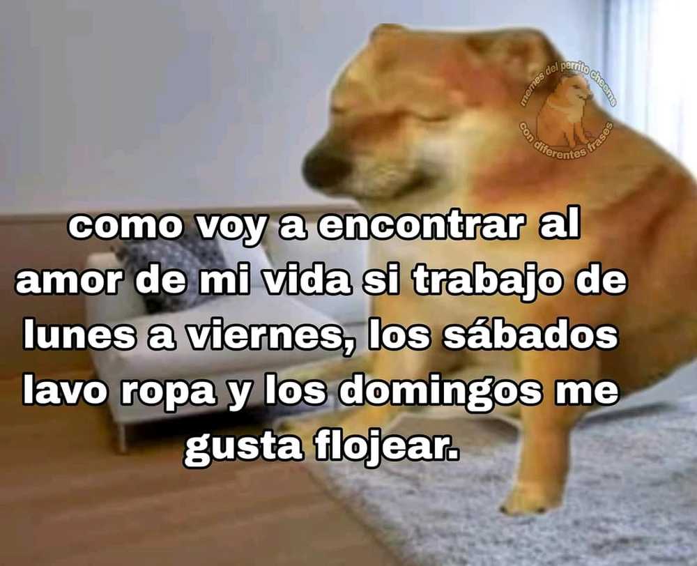 Image uploaded by Ismahane