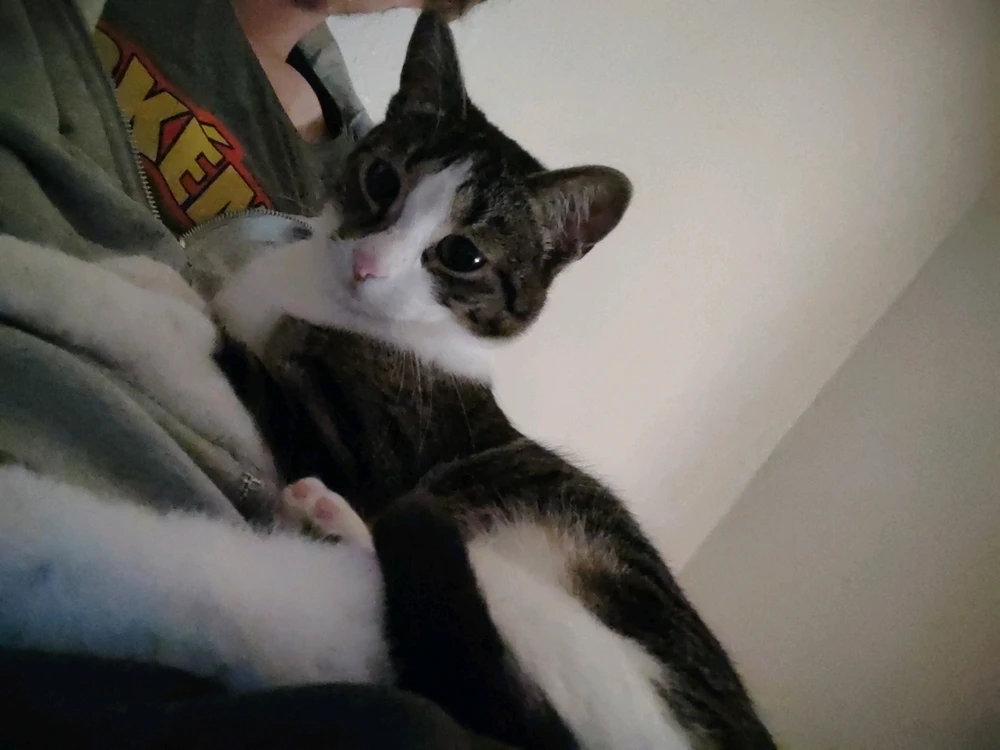 Bild hochgeladen von Timmy