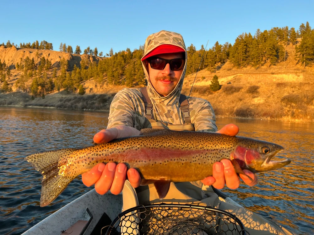 Image uploaded by Dillon